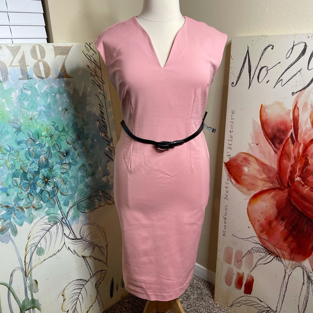 NWT New York and Company Pink Sheath MIDI dress